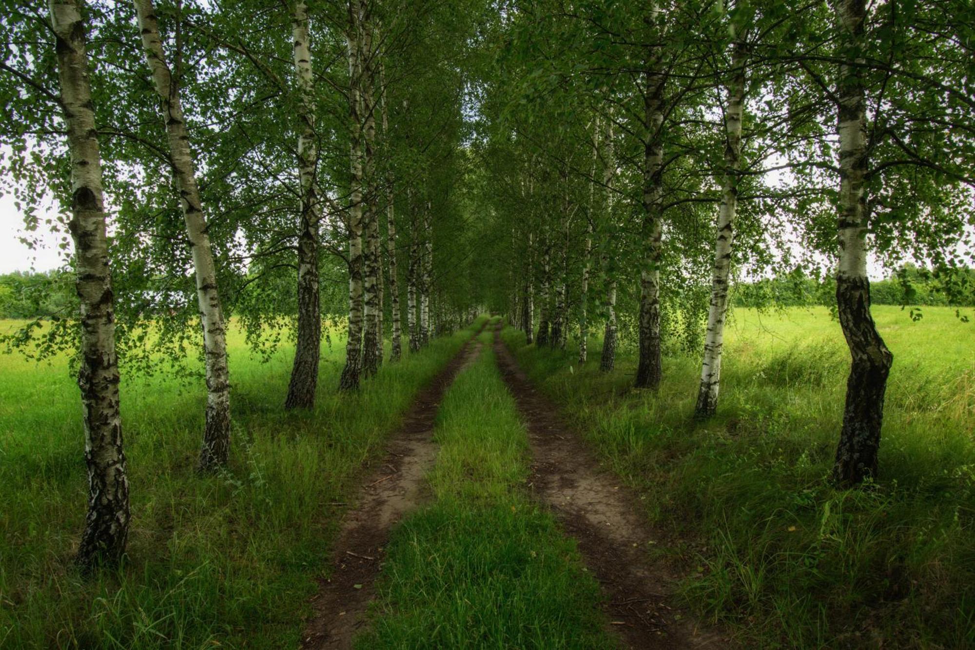 Centrum Wesola Suwalki